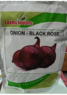 Onion - Black Rose